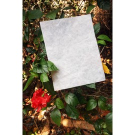White Mulberry Paper Sheets Origami Design Craft Hand Made Art Tissue Washi Suppliers Card Making Glass Decoupage (8.5 x 11.0in) (25 sheets)