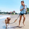PuppyDoggy Dog Leash for Small to Medium Dogs 6 ft