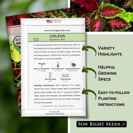 Sow Right Seeds Sow Right Seeds - Coleus Rainbow Mix Seeds for Planting - Beautiful Flowers to Plant in a Home Garden - Indoors or Outdoors - Non-GMO Heirloom Seeds - Attractive & Colorful - Great Gardening Gift (1)