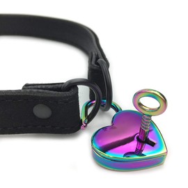 Succuba Padlock Choker Collar Necklace Lolita Collar Cat Kitty Velvet Necklace with Lock and Key For Women and Men (C, 16)