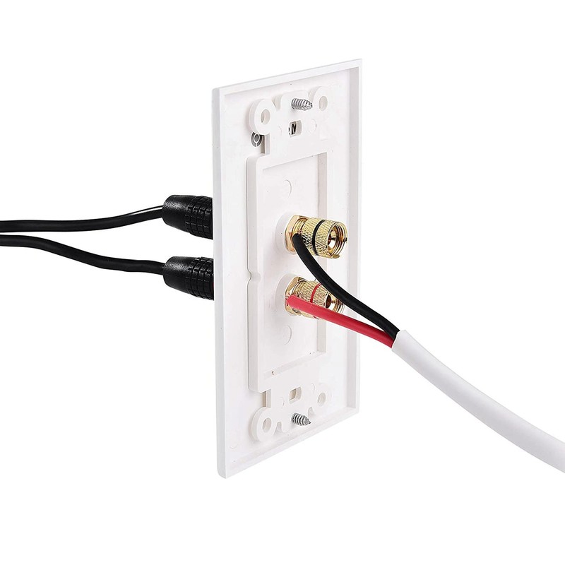 jingfei 3X 2 Posts Speaker Wall Plate Home Theater Wall