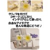 Plumeria Artificial Flowers Only Handmade DIY Supplies Decoration Accessories 4cm