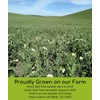 Palouse Brand Green Split Peas 3 lbs Drawstring Bag