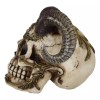 Day of The Dead El Diablo Horned Devil Skull Hell