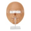 Makeup Practice Face Board 5D Silicone Mannequin Face for Eyes