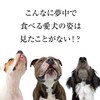 Dog 80/100 Series OYATSU 85% Hokkaido Ezo Venison Meat, Ideal