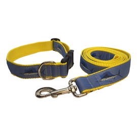 Preston Sailfish Dog Collar and Leash Set Light Blue Ribbon on Yellow Adjustable Nylon Webbing (Medium)