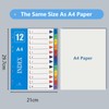 A4 File Dividers 4Pcs, Ancable Plastic A4 File Dividers for