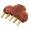 Sandalwood Meridian Comb Nose Massager Rosewood Scalp Massage Comb Set