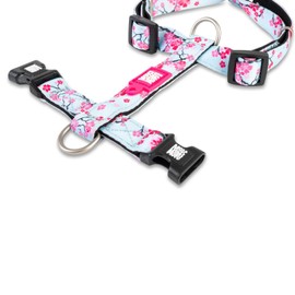 Max & Molly Dog Harness in H-shape, Ultra Comfortable Neoprene Harness for Medium Dogs, Cherry Bloom, M, Padded, Safe and Ultralight – Comfort for Your Faithful Companion
