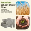 Homienly 40-Piece Wheat Straw Dinnerware Sets