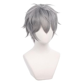 Grey Short Wig for Men with Heat Resistan Synthetic Fiber Short Hairs for Unisex Adult Daily Wear Halloween Christmas Anime Party Replacement Wigs