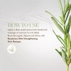 Mielle Organics Rosemary Mint Strengthening Shampoo Infused with Biotin, Cleans