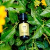 Edens Garden Lemon Around The World Essential Oil- 100% Pure