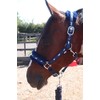 Equipride Horse Print Faux Lined Nylon Headcollars with Matching Lead