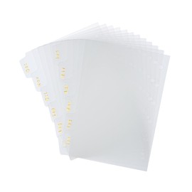 Mr. Pen- Monthly Dividers for Planner, 12pcs, 4.7"x3.1", Monthly Tabs for 6 Ring Binders, Month Tabs, Monthly Binder Dividers with Tabs 12 Months, 12 Tab Dividers