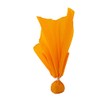 Champro Flag with Ball