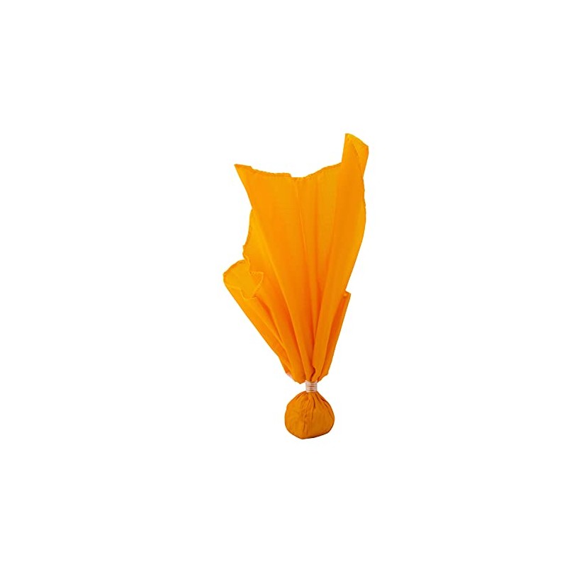Champro Flag with Ball