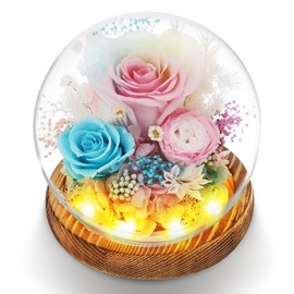 Birthday Gifts For Women Girlfriend Wife Anniversary Mother Gifts For Mom Real Roses Preserved Flowers - Forever Flowers For Delivery Prime - Mothers Day Home Decor Office Desk Decor Living Room Decor