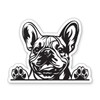 French Bulldog Frenchie Dog Peeking Vinyl Sticker - for Water