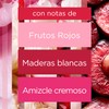 Glade® Aromatizante Varitas Alegría Floral y Frutos Rojos Frasco con