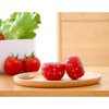 Xinlie Egg Timer for Kitchen Timer Mechanical Timer Kitchen Mechanical