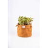 Concept Casa Waxed Canvas Handmade Hanging Planter 6" Dijon Yellow