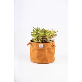 Concept Casa Waxed Canvas Handmade Hanging Planter 6" Dijon Yellow