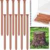 UNIFAMILY 10pcs Copper Nails for Killing Trees Stump Root, 3.15