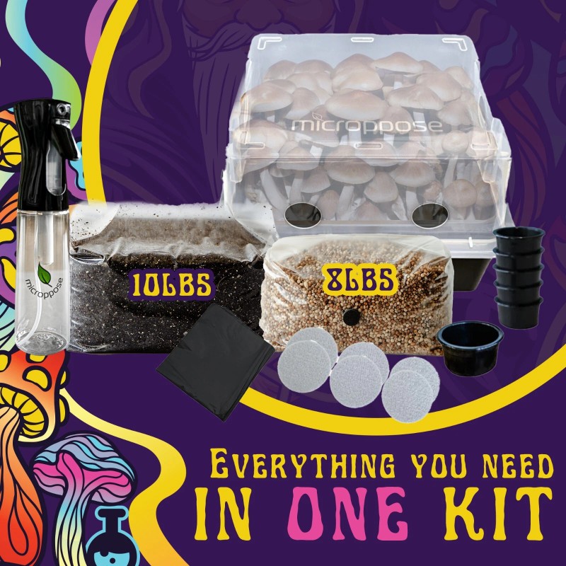 Spore Sorcery Medium Beginners Mushroom Grow Kit | Indoor Grow