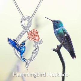 WINNICACA Sterling Silver Hummingbird Necklace for Women Hummingbird Pendant Infinity Rose Jewelry Hummingbird Gifts for Hummingbird Lover Mother Day Christmas Gifts for Her