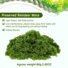 Reindeer Preserved Moss Artificial Green Moss for Indoor Plants Fake Moss Wall Decor for Potted Plant, Art, Terrariums, Craft, Wedding, Home, Garden, DIY Project, Floral Arrangements Decoration