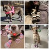 KOOLTAIL Anti Slip Dog Socks for Cold Pavement to Prevent