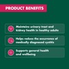 Nature's Own High Strength Cranberry 50,000 90 Capsules