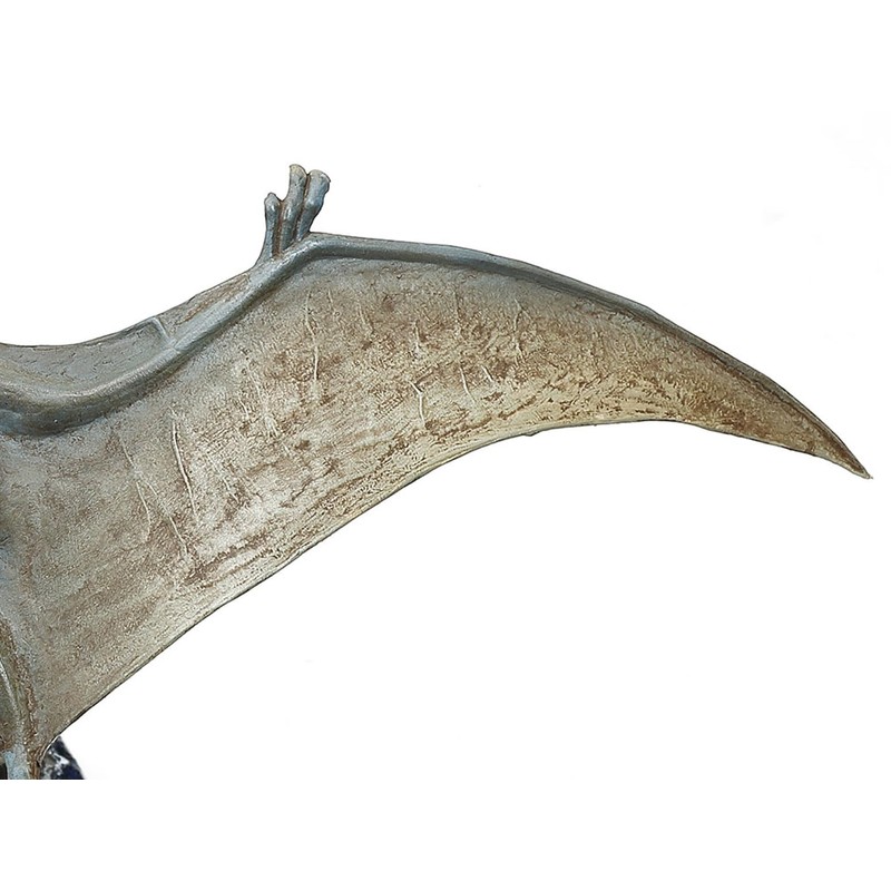 TAMIYA 60204 1:35 Dinosaur Pteranodon Plastic Kit Model Making Faithful