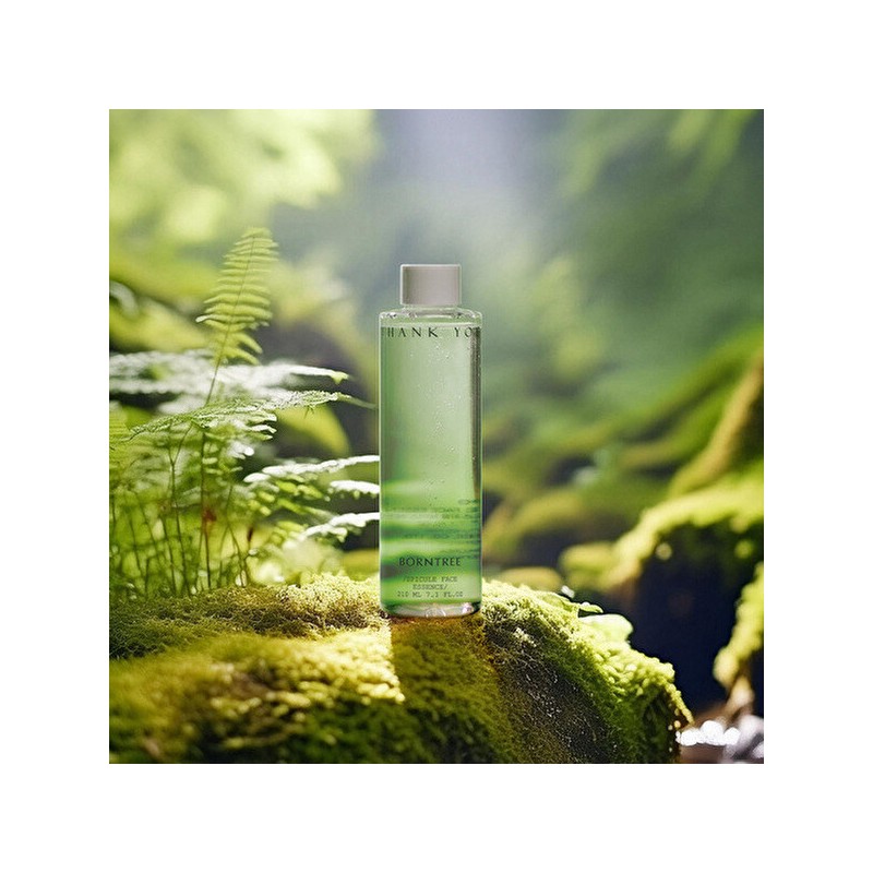 Bontri 본트리 스피큘 페이스 에센스 210ml Bontree Specula Face Essence