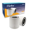 Flintar 2-Pack of AP005 H13 True HEPA Replacement Filter, Compatible
