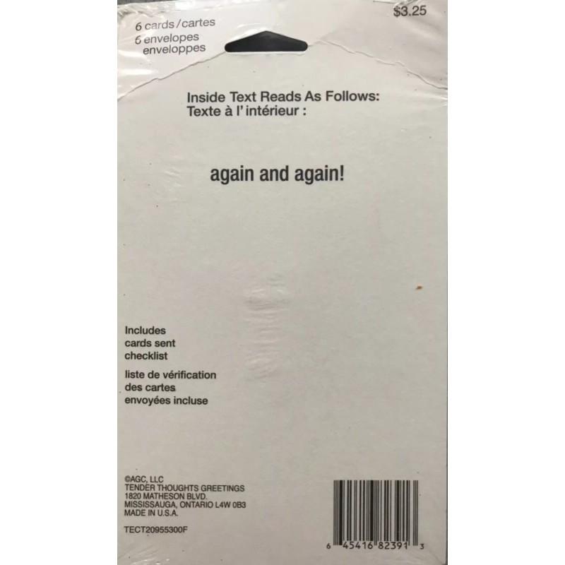 Tender Thoughts Thank You Notes (Teal & Orange Glitter). New.