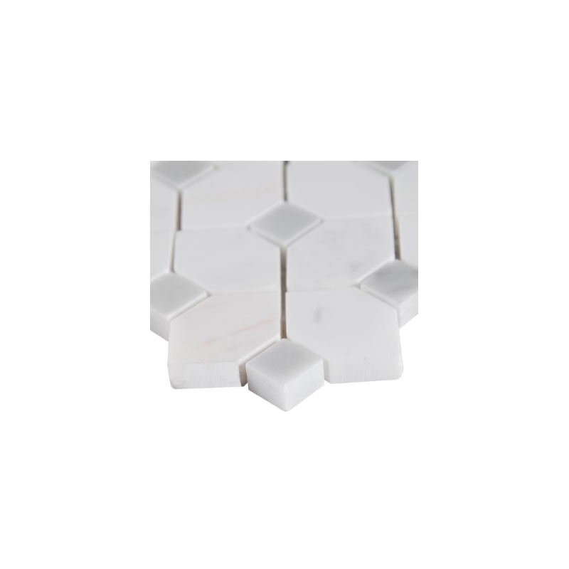 Bianco Dolomite Dotty 12.31 in. x 12.36 in. Polished Marble