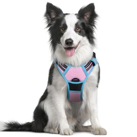 rabbitgoo Dog Harness No Pull with 2 Leash Clips, Adjustable Soft Padded, Reflective Oxford No Choke Pet Vest with Easy Control Handle for Medium Sized Dogs, Pink & Blue, M
