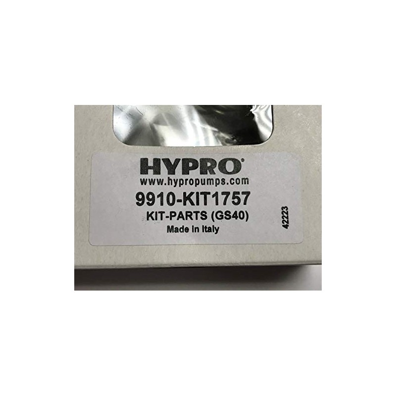 Hypro 9910-KIT1757 Regulator Repair Kit for 9910-GS40GI Regulator