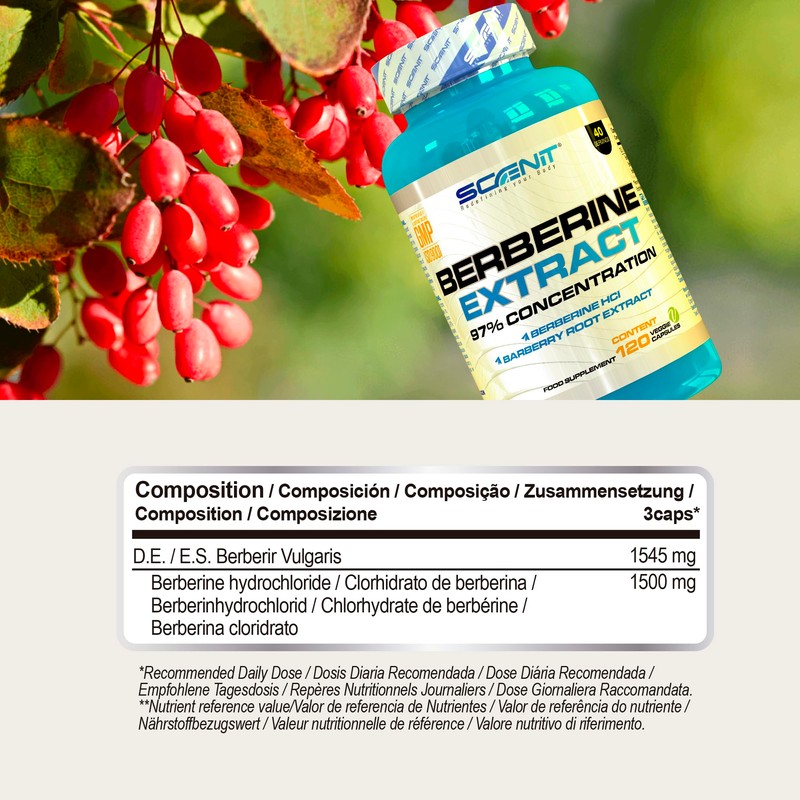 Berberine - 1500 mg High Dose - 97% Concentration -