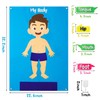 WATINC 35Pcs Body Parts Learning Felt Story Board Set Preschool Human Organ