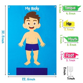 WATINC 35Pcs Body Parts Learning Felt Story Board Set Preschool Human Organ Educational Teaching Storytelling Early Learning Interactive Play Kit Wall Hanging Gift for Toddlers Kids 41 x 30 Inch