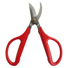 Evergreen stainless twig Cutting Scissor Flower