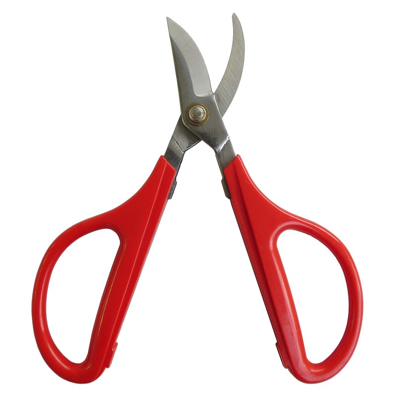 Evergreen stainless twig Cutting Scissor Flower