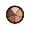 Mehron Maquillaje Para Ocultar Tatuajes Con 5 Tonos, 28g Tono