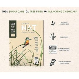 Natural A4 Printer Paper, 1 Ream (500 Sheets) 75gsm Multi-Purpose Eco-Friendly Copier Paper, Bleach Free, Tree Free, Carbon Footprint Certified, Budget-Friendly Printing Paper