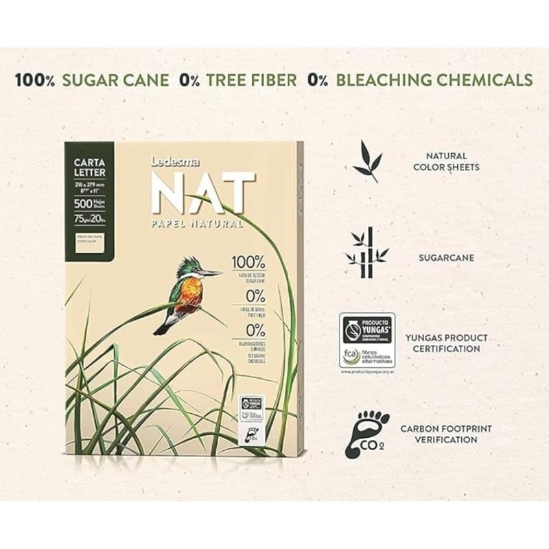 Natural A4 Printer Paper, 1 Ream (500 Sheets) 75gsm Multi-Purpose