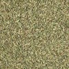 Oherb 회향 산미나리씨 산미나리씨앗 250g Fennel Water Dropwort Seeds 250g